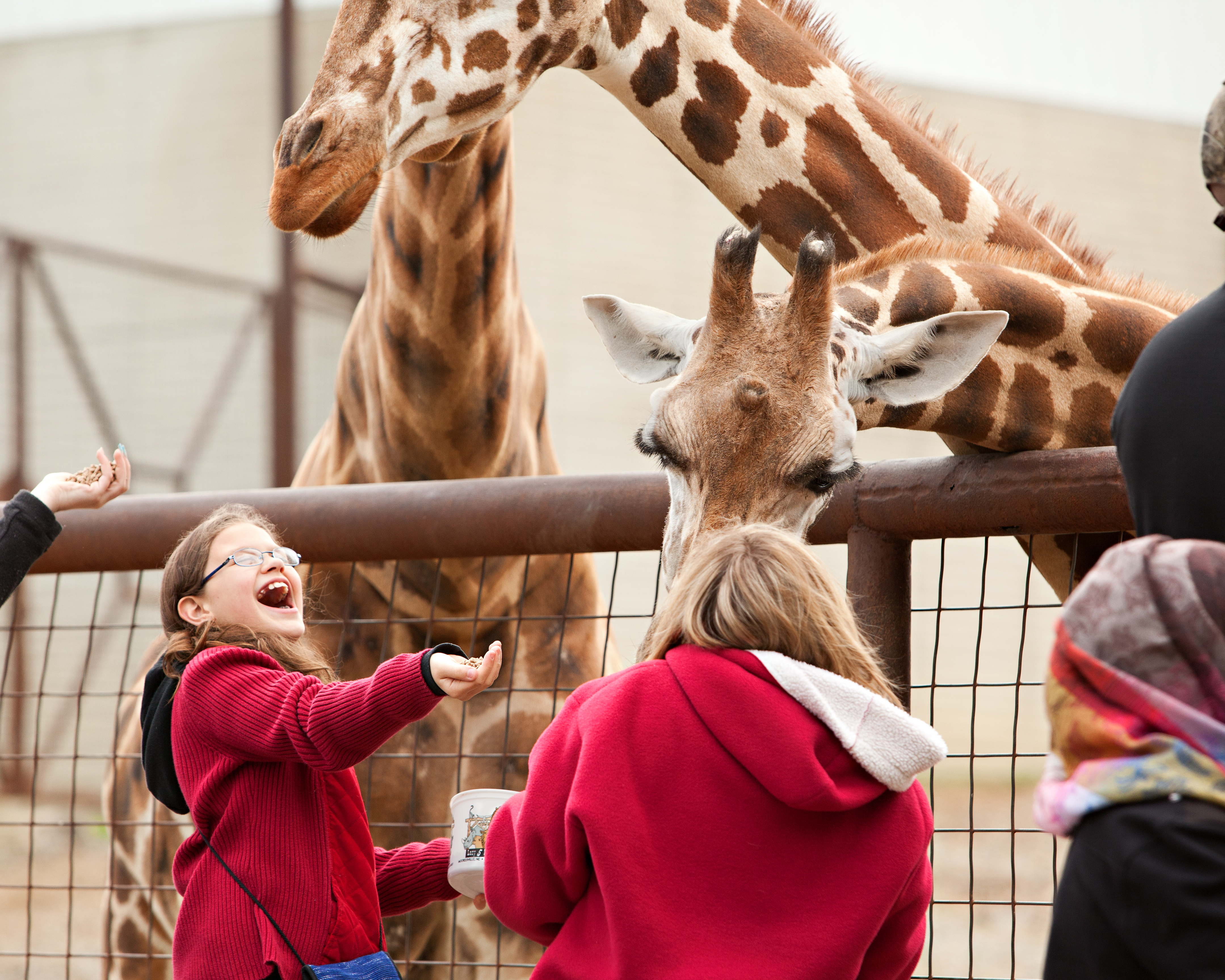 shutterstock_288363386-1